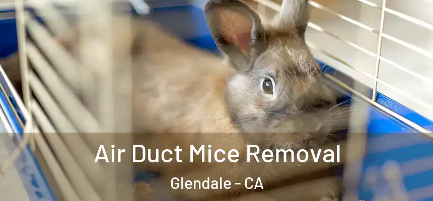 Air Duct Mice Removal Glendale - CA