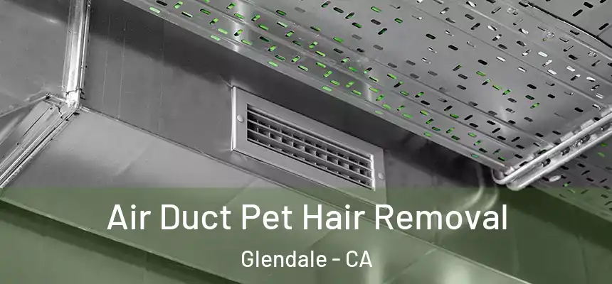 Air Duct Pet Hair Removal Glendale - CA