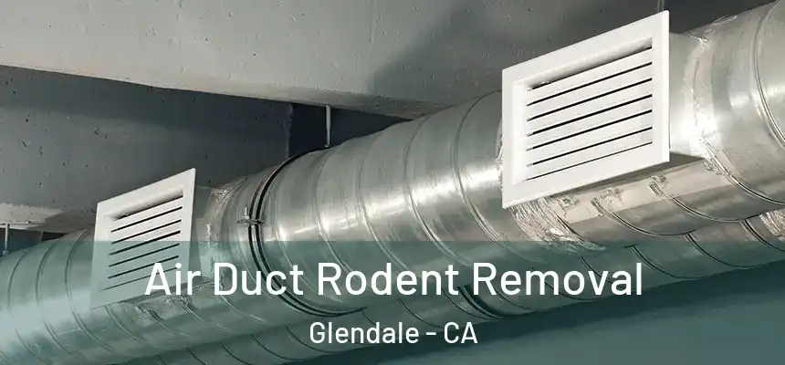 Air Duct Rodent Removal Glendale - CA