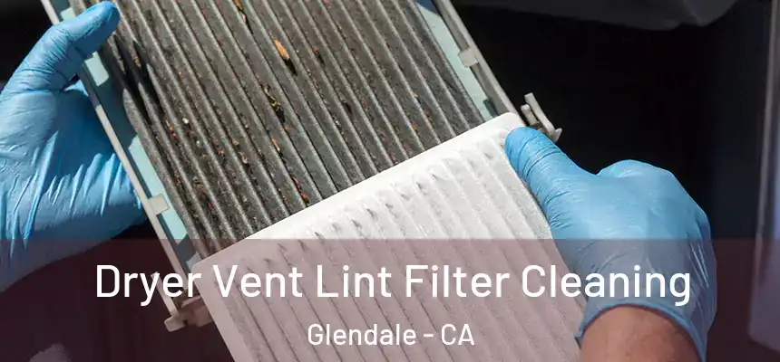 Dryer Vent Lint Filter Cleaning Glendale - CA