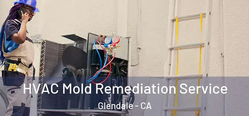  HVAC Mold Remediation Service Glendale - CA