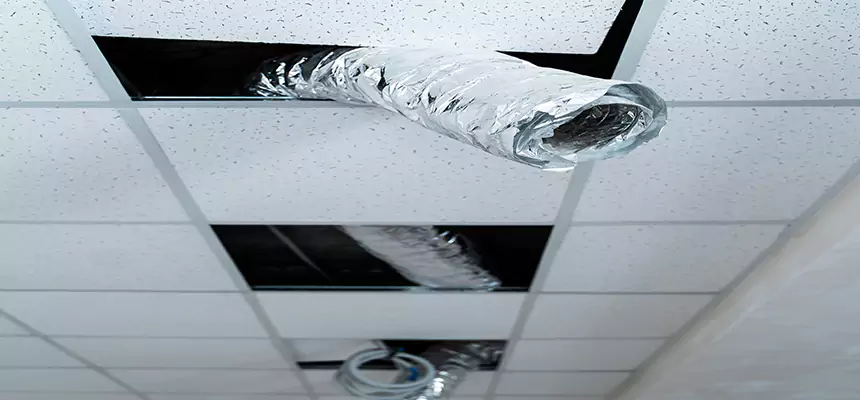 Our Air Duct Pet Hair Removal Services in Glendale, CA