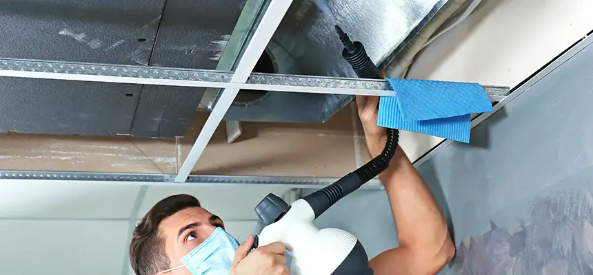Our Air Duct Rodent Removal Services in Glendale, CA