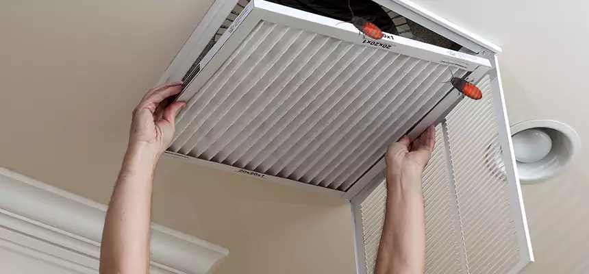 Our Insect Removal from Air Ducts Services in Glendale, CA