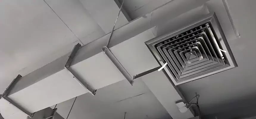 Our Pest Removal From Ducts Services in Glendale, CA