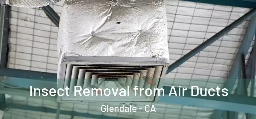Insect Removal from Air Ducts Glendale - CA