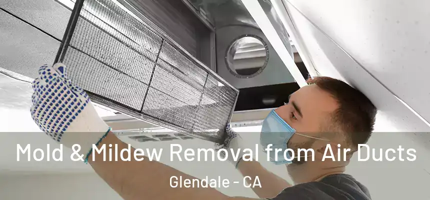 Mold & Mildew Removal from Air Ducts Glendale - CA