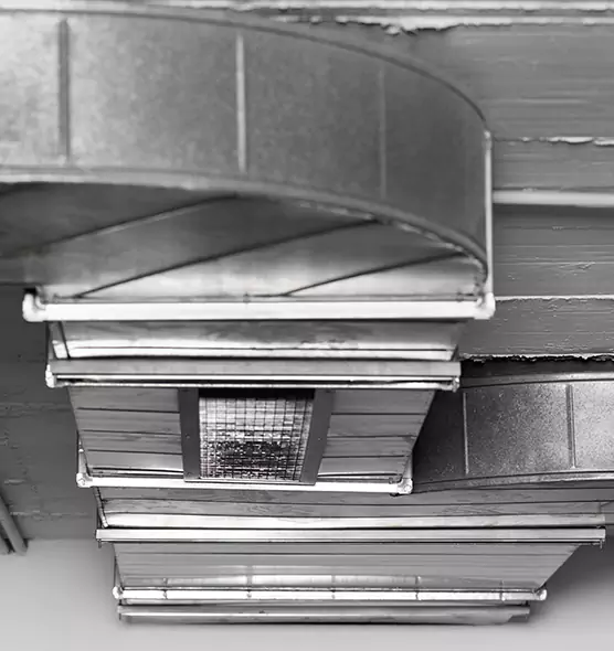 Professional Air Duct Pest Removal in Glendale, CA