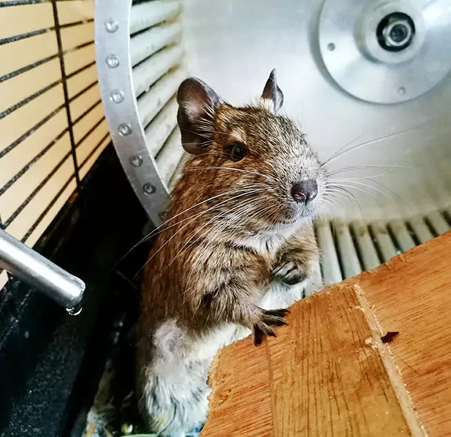 Why Homeowners & Businesses Trust Us Glendale, CA?