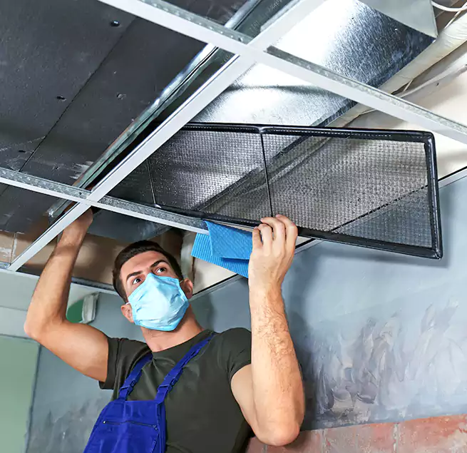 Why Homeowners Businesses Trust Us in Glendale, CA