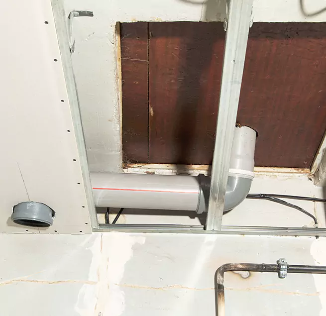 Why Homeowners & Businesses Trust Us in Glendale, CA?