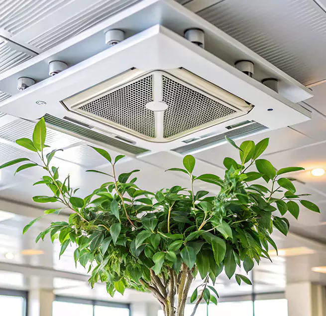 Why Homeowners & Businesses Trust Us in Glendale, CA