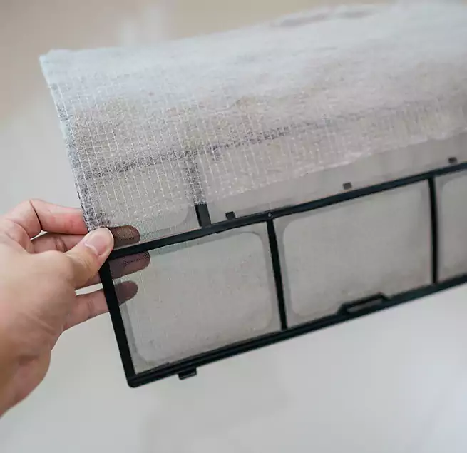 Why Homeowners & Businesses Trust Us in Glendale, CA?